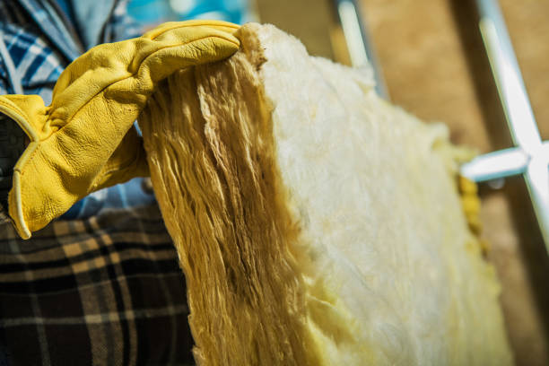 Best Insulation Maintenance and Repair in Lakewood Park, FL
