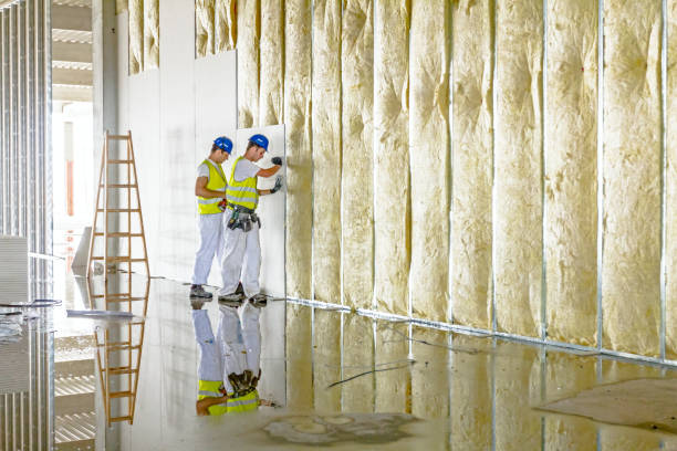 Best Specialized Insulation Services in Lakewood Park, FL